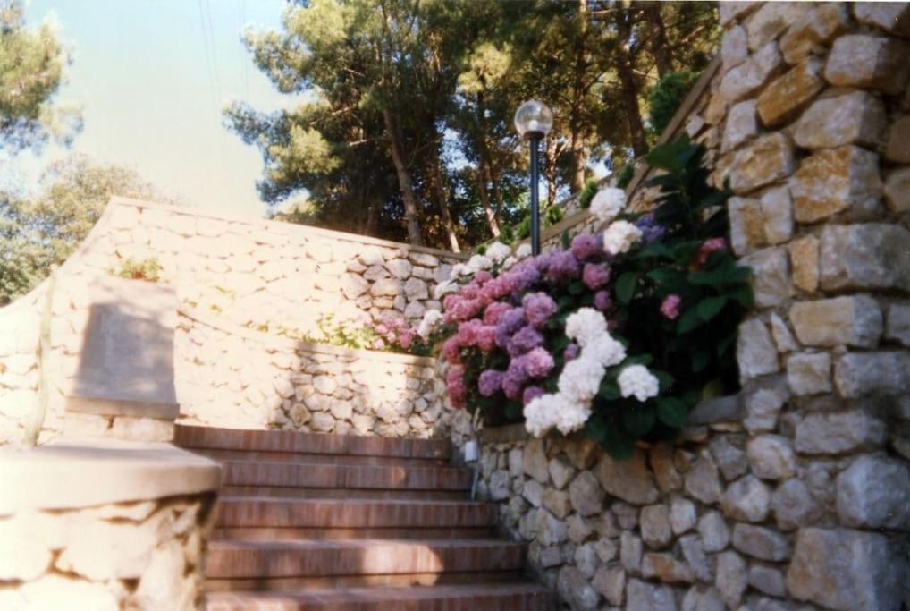 Residenza Santa Maria Apartment Capri Exterior photo